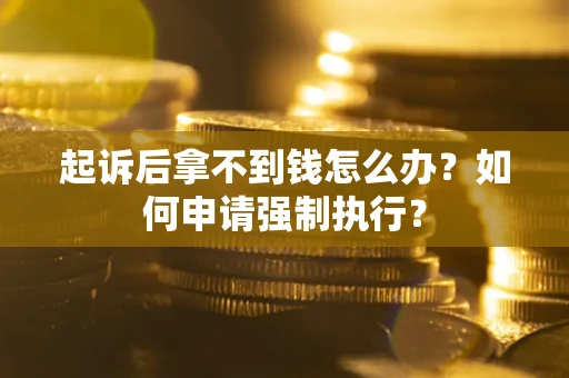 济南起诉后拿不到钱怎么办？如何申请强制执行？