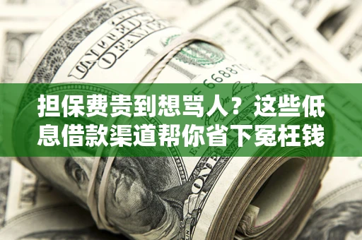 济南担保费贵到想骂人？这些低息借款渠道帮你省下冤枉钱