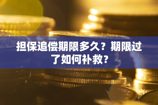济南担保追偿期限多久？期限过了如何补救？