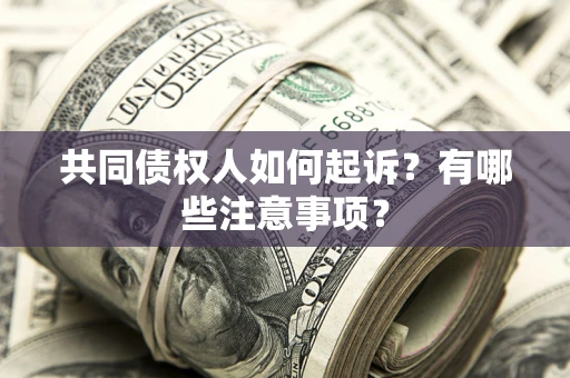 济南共同债权人如何起诉？有哪些注意事项？